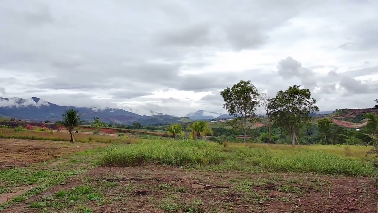 Video 6
